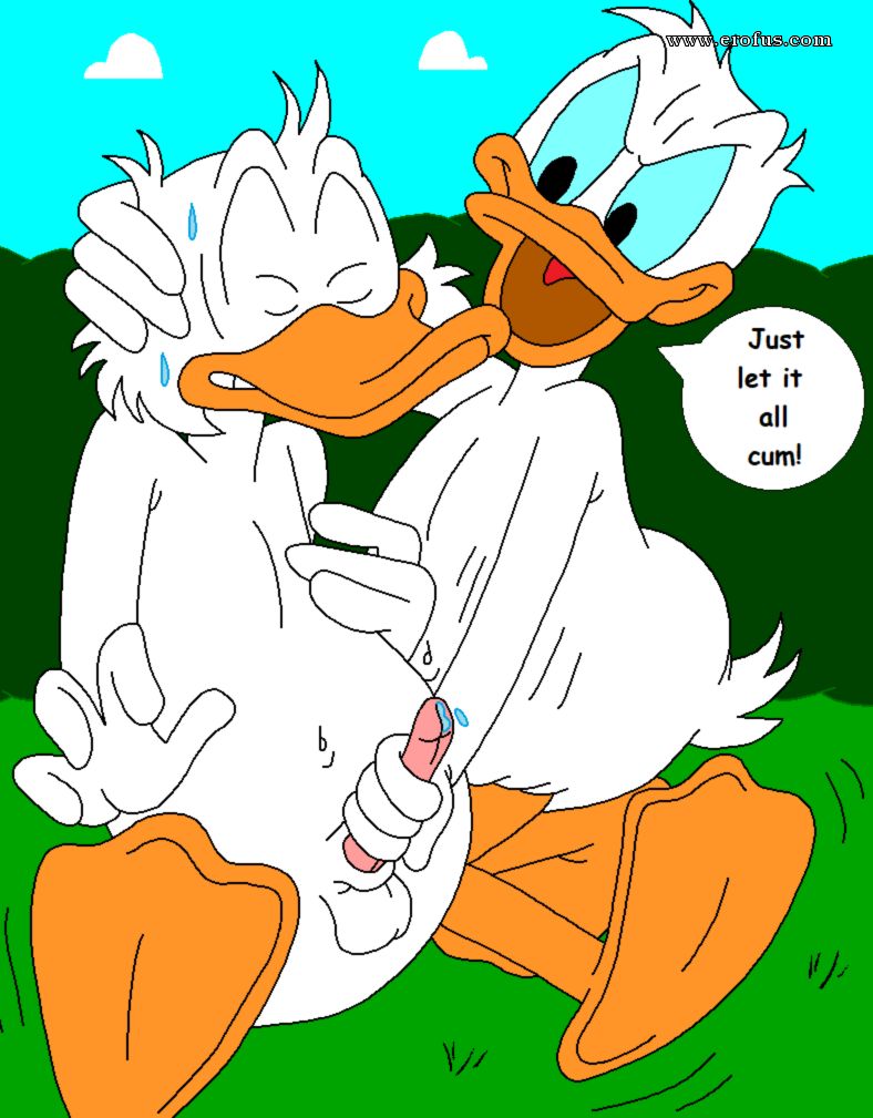 picture 37.png