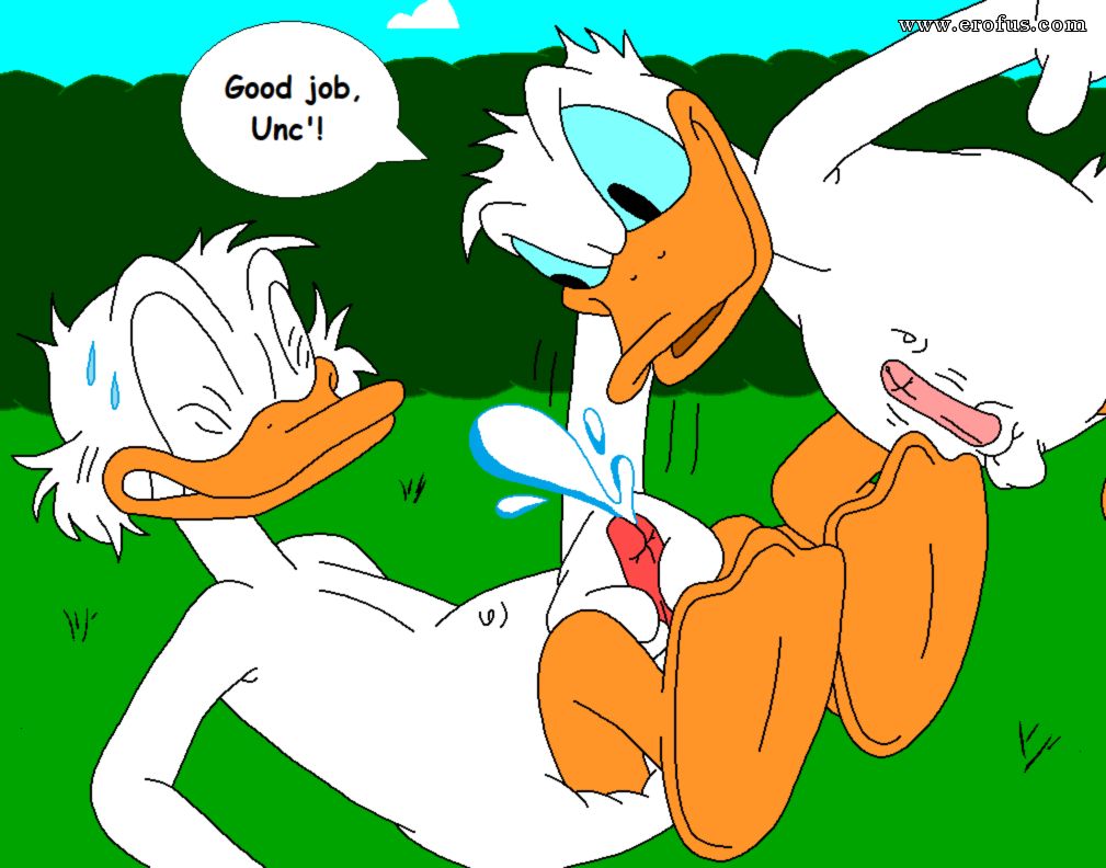 picture 38.png
