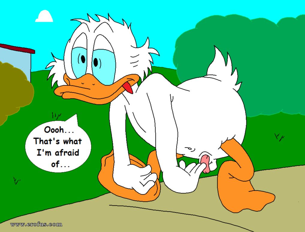 picture 46.png