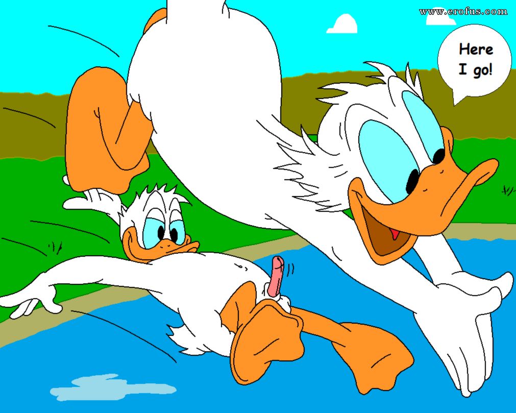 picture 48.png