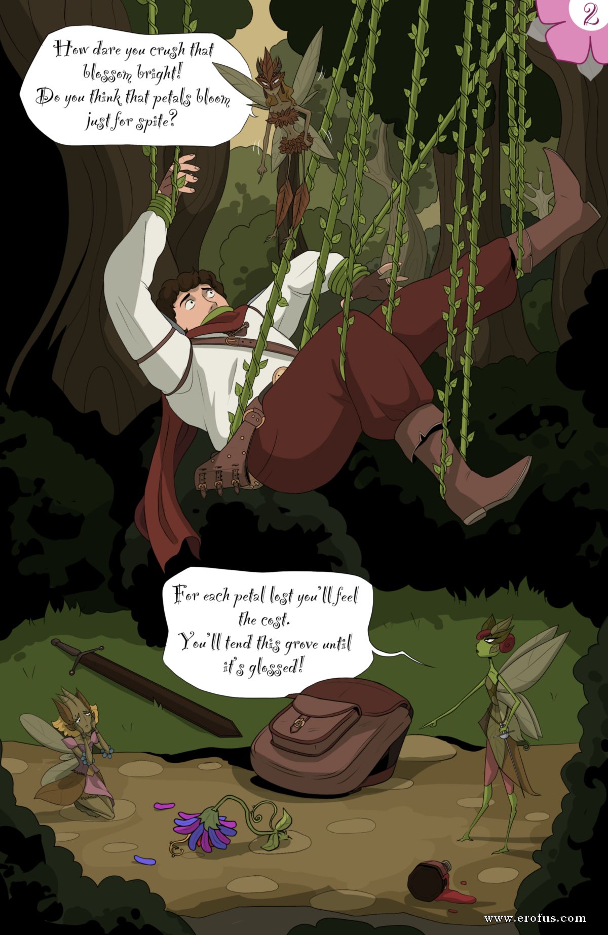 picture 02.png