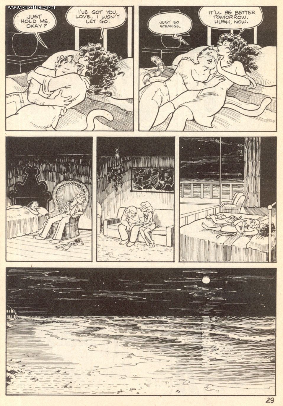 picture 31.jpg