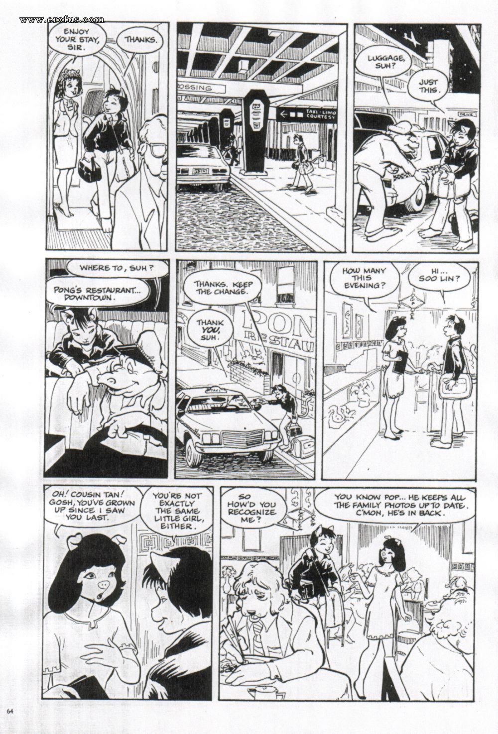 picture 64.jpg