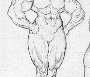 picture muscle_6.jpg