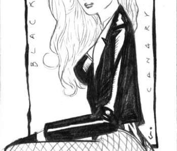 picture BlackCanary box sm.jpg