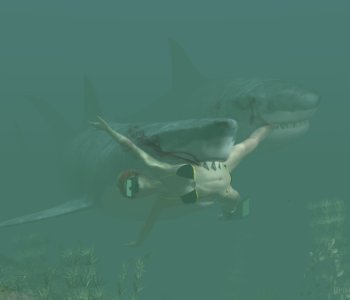 picture sharks_.jpg