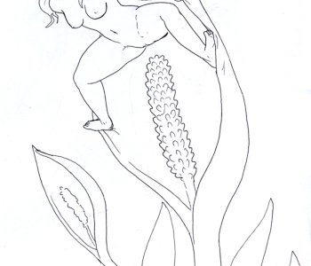 picture 38.jpg