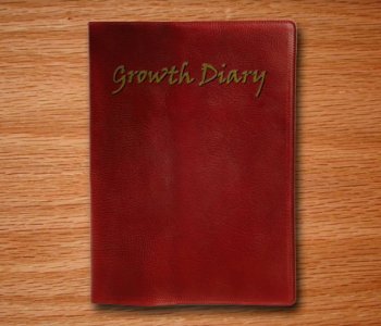 comic Growth Diary