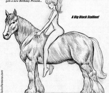 picture BlackStallion.png