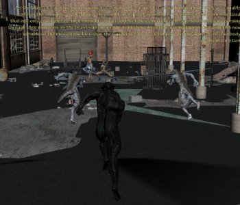 picture 21.jpg