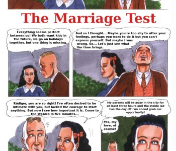 comic The Marriage Test