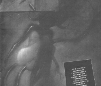 picture 34.jpg