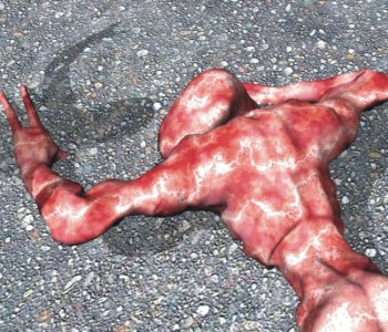 picture 11.jpg