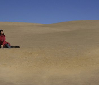 picture 26.jpg