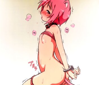 picture 13.jpg