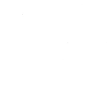 picture 96.jpg