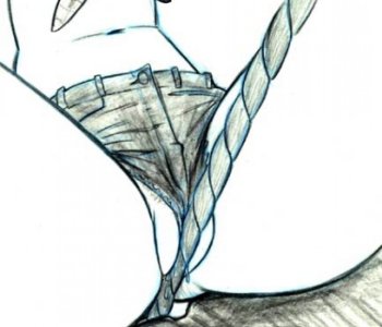 picture 19.jpg
