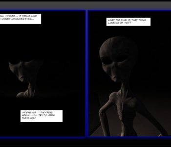 picture 08.jpg