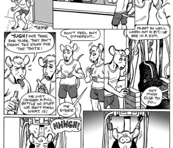 Sex Raaats - Gym Rats | Erofus - Sex and Porn Comics