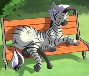 picture 10.png