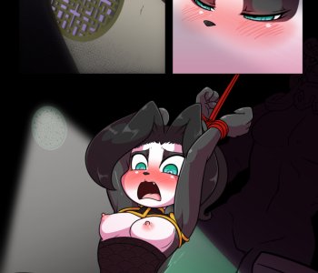 picture 11.png