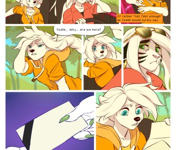 picture 02.png