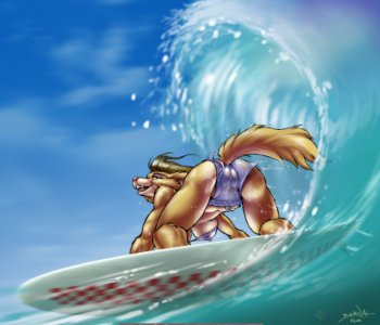 comic Surfdog