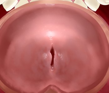 picture 07.png
