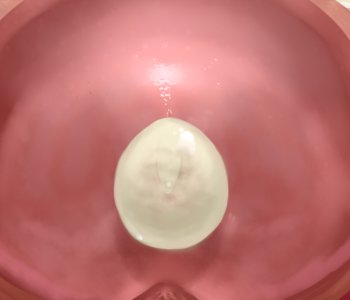 picture 10.png