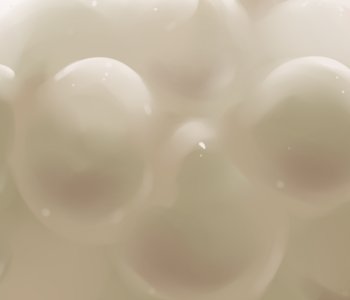 picture 12.png
