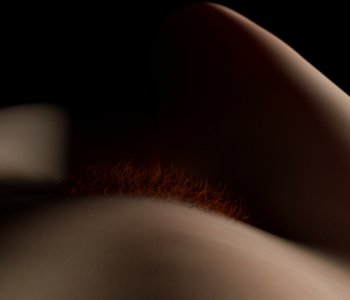 picture 13.jpg