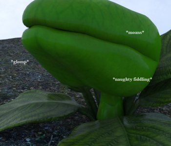picture 20.png