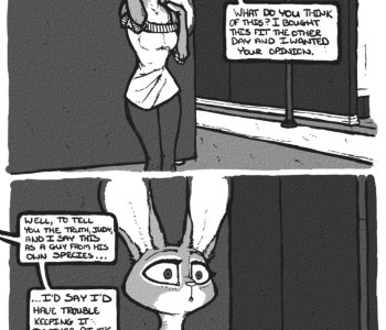 picture 14.png