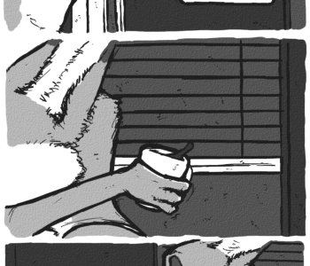 picture 27.png