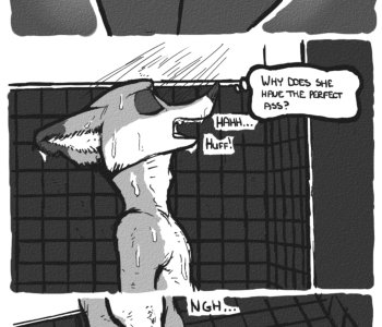 picture 36.png