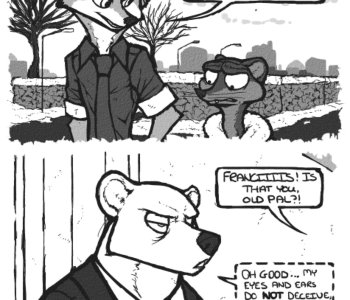 picture 37.jpg