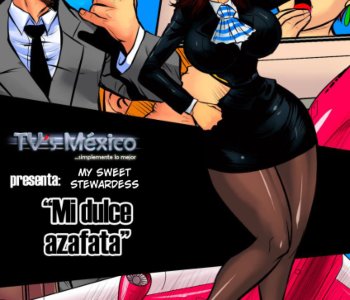 comic Mi Dulce Azafata