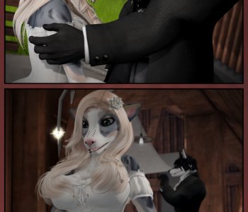 picture 02.png