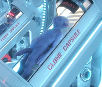 picture 26.jpg