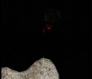 picture 226.jpg