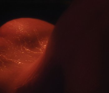 picture 73.jpg