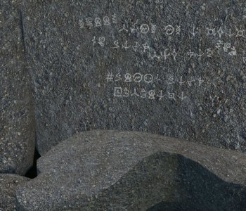 picture 88.jpg