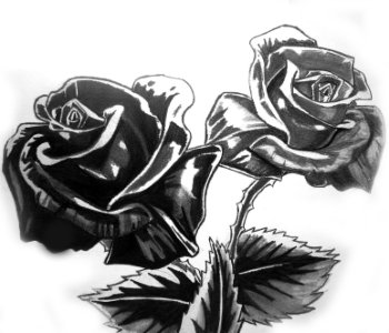 picture 49.jpg