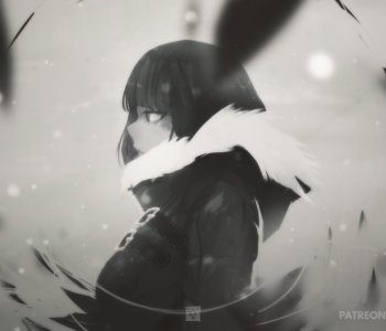 picture 24.png