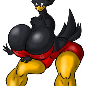 picture 12.png