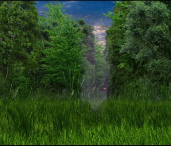 picture 31.jpg