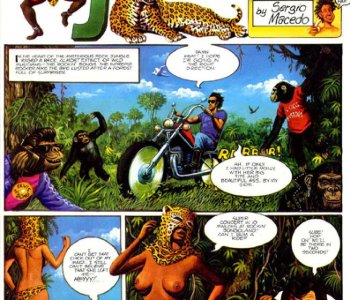 comic Jungle Rock