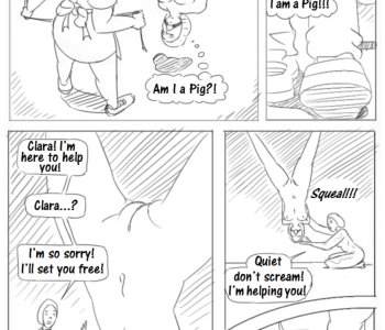 picture 08.png