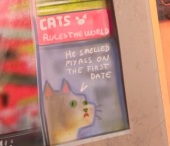 picture 63.png