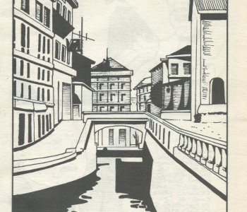 picture 28.jpg